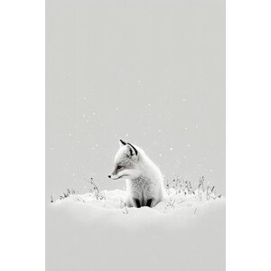 Ilustrace Snow Fox, Treechild, (26.7 x 40 cm)