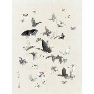 Obrazová reprodukce Butterflies & Moths (1 of 2) - Katsushika Hokusai, (30 x 40 cm)