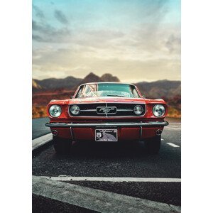 Umělecká fotografie Mustang Love, Fadil Roze, (26.7 x 40 cm)