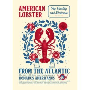 Ilustrace Lobster kitchen print, Dionisis Gemos, (30 x 40 cm)