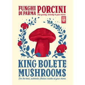 Ilustrace Porcini kitchen print, Dionisis Gemos, (30 x 40 cm)