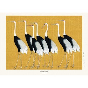 Studio Collection - Obrazová reprodukce Japanese Red Crown Crane, (40 x 30 cm)