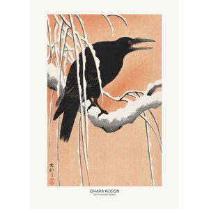 Ilustrace Crow On Snowy Branch, Studio Collection, (30 x 40 cm)