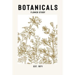 Ilustrace Botanicals Flower Study Ii, jay stanley, (26.7 x 40 cm)