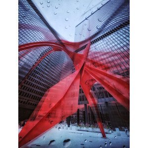 Umělecká fotografie Through the rain, Yimei Sun, (30 x 40 cm)