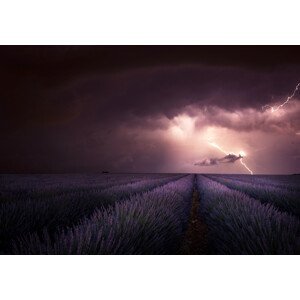 Umělecká fotografie Lavender fragrance, Nicolas Schumacher, (40 x 26.7 cm)