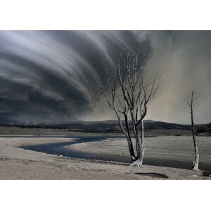Umělecká fotografie Thirsty land, Yvette Depaepe, (40 x 30 cm)