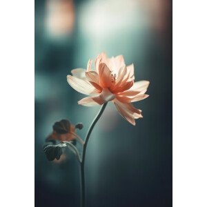 Umělecká fotografie Coral Flowers At Night, Treechild, (26.7 x 40 cm)