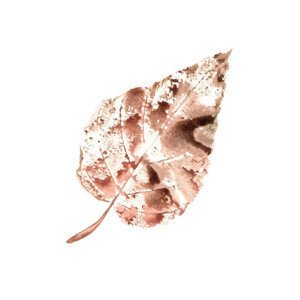 Ilustrace Brown Poplar Leaf, Maria Tolkacheva, (40 x 40 cm)