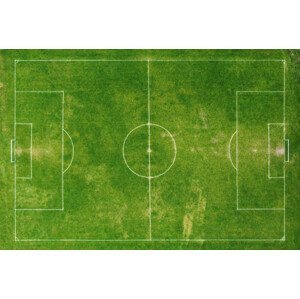 Umělecká fotografie Football Pitch, Richard Newstead, (40 x 26.7 cm)