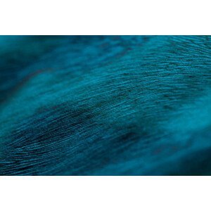 Umělecká fotografie Close up of the ripples and weave on cloth, Emma Walsh, (40 x 26.7 cm)