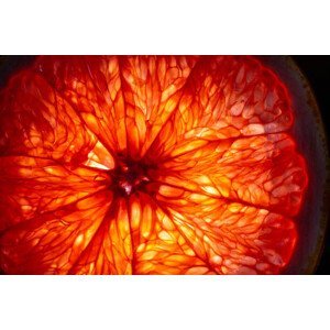 Umělecká fotografie Mature orange fruit slice back lit, Stefan Cristian Cioata, (40 x 26.7 cm)