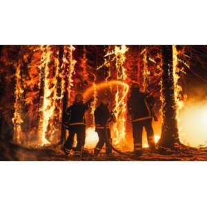 Umělecká fotografie Professional Firefighters Extinguishing Large, High-Priority Part, gorodenkoff, (40 x 22.5 cm)