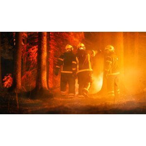 Umělecká fotografie Three Volunteer Firefighters with Safety Equipment, gorodenkoff, (40 x 22.5 cm)