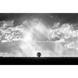 Umělecká fotografie Lone tree with heaven ray of, Photo by Benjawan Sittidech, (40 x 26.7 cm)