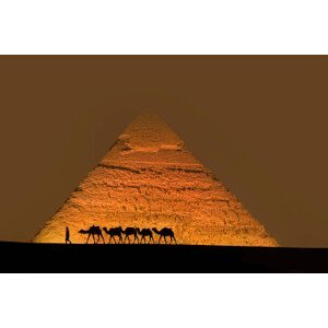 Umělecká fotografie Camel train near pyramids., Grant Faint, (40 x 26.7 cm)