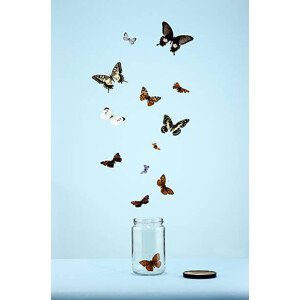Umělecká fotografie butterflies escaping from jar, Martin Poole, (26.7 x 40 cm)