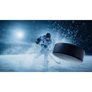 Umělecká fotografie Ice Hockey Rink Arena: Professional Player, gorodenkoff, (40 x 22.5 cm)