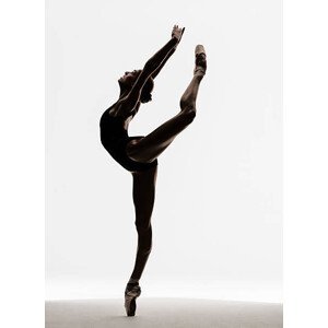 Umělecká fotografie Ballerina attitude on pointe, Nisian Hughes, (30 x 40 cm)