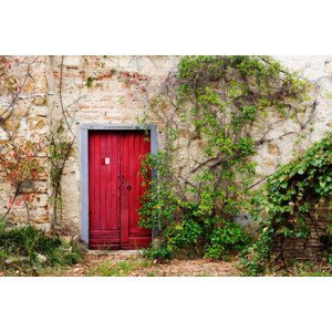 Umělecká fotografie Red Door in Old Brick and Stone Cottage, Mint Images, (40 x 26.7 cm)