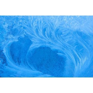 Ilustrace Frost pattern on window, Mirko Stelzner, (40 x 26.7 cm)