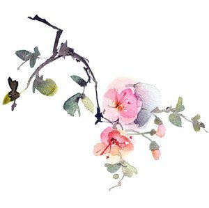 Ilustrace Blossom tree branch, Ola_Tarakanova, (40 x 35 cm)