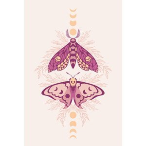 Umělecká fotografie Vector pattern with night moths and, Iryna Shorokhova, (26.7 x 40 cm)
