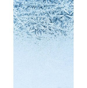 Umělecká fotografie Frost on the window, Poike, (26.7 x 40 cm)