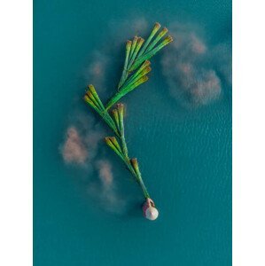 Umělecký tisk Drone shot looking down on a, Abstract Aerial Art, (30 x 40 cm)