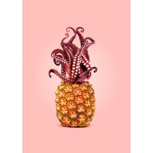 Ilustrace Octopus Pineapple, Artem Pozdniakov, (30 x 40 cm)