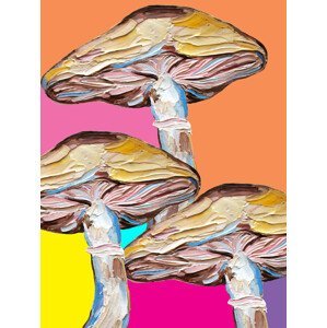 Ilustrace Psychedelic Mushrooms, Alice Straker, (30 x 40 cm)
