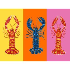 Ilustrace Lobster Langoustines Pop Art 3, Alice Straker, (40 x 30 cm)