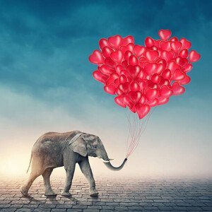 Umělecká fotografie Elephant with red balloons, egal, (40 x 40 cm)