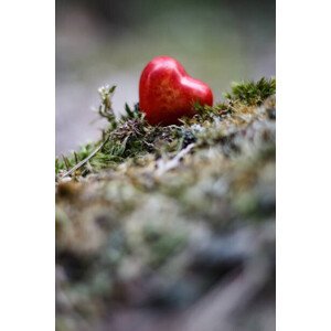 Umělecká fotografie Heart figure in the forest - love concept, sanzios85, (26.7 x 40 cm)