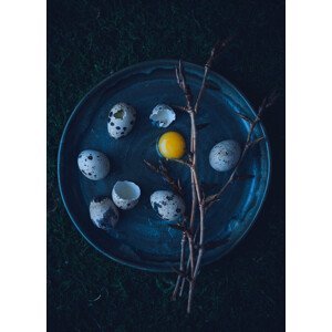 Umělecká fotografie Eggs, Aleksandrova Karina, (30 x 40 cm)