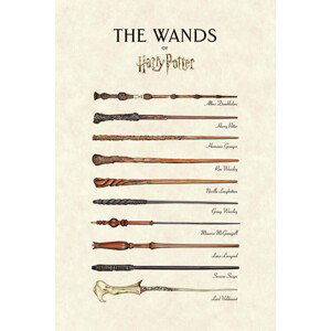 Umělecký tisk Harry Potter™ - The Wands, (26.7 x 40 cm)