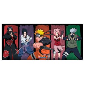 Naruto Shippuden - Group