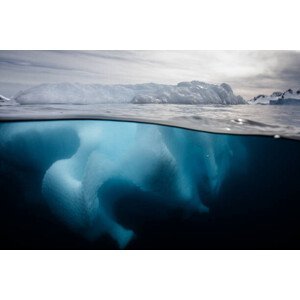 Umělecká fotografie Iceberg in Antarctica, Brett Monroe Garner, (40 x 26.7 cm)