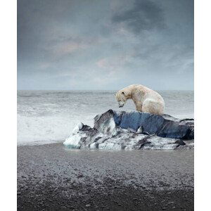 Umělecká fotografie Polar bear on the melting iceberg, narvikk, (35 x 40 cm)