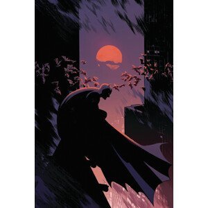 Umělecký tisk Batman - Midnight, (26.7 x 40 cm)