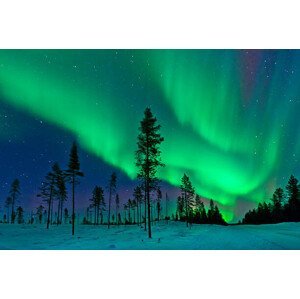 Umělecká fotografie Aurora Borealis  Northern Lights Sweden, Dave Moorhouse, (40 x 26.7 cm)