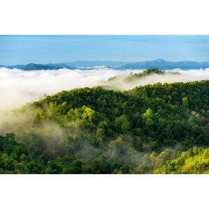 Umělecká fotografie Beautiful mist over green forest on mountain., NirutiStock, (40 x 26.7 cm)