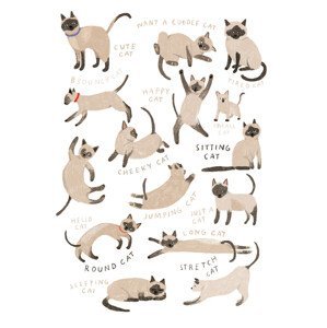 Ilustrace Siamese Cat Print, Hanna Melin, (30 x 40 cm)