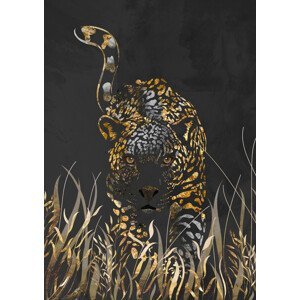 Ilustrace Black gold jaguar in grass, Sarah Manovski, (30 x 40 cm)