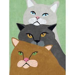 Ilustrace Cat Trio, Raissa Oltmanns, (30 x 40 cm)
