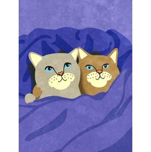 Ilustrace Cats in Bed, Raissa Oltmanns, (30 x 40 cm)