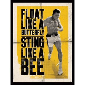 Obraz na plátně Muhammad Ali - Float Like a Butterfly, (60 x 80 cm)