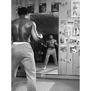 Obraz na plátně Muhammad Ali - Mirror, (60 x 80 cm)