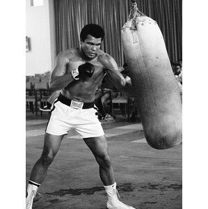Obraz na plátně Muhammad Ali - Punch Bag, (60 x 80 cm)