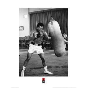 Umělecký tisk Muhammad Ali - Punch Bag, (60 x 80 cm)